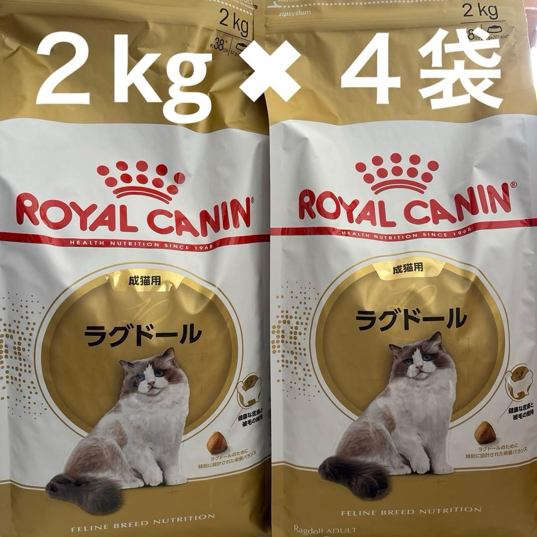 【新品】ロイヤルカナン ラグドール成猫用 ２kg × ４袋
