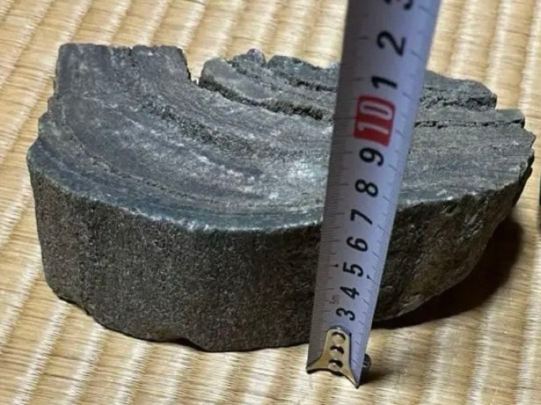 3点　化石　アンモナイト　等