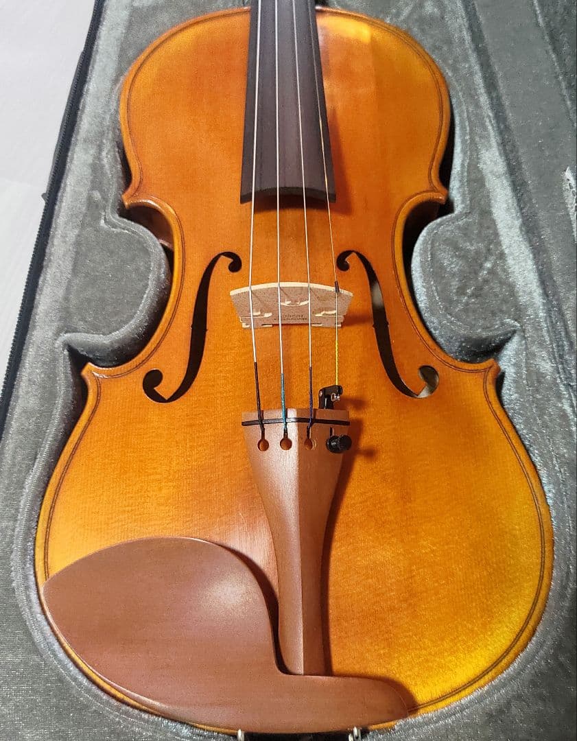 カルロジョルダーノ ヴァイオリン VS-2 4/4 ケース、弓、松脂付き