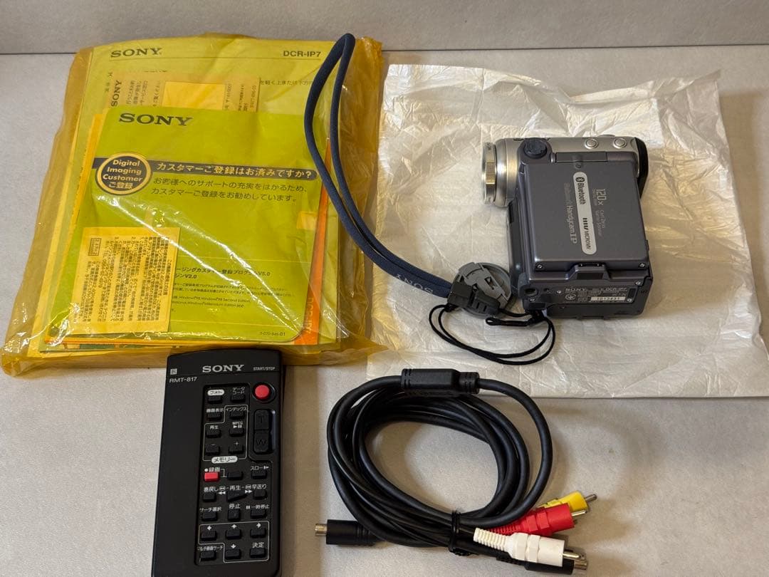 SONY ビデオカメラ DCR-IP7