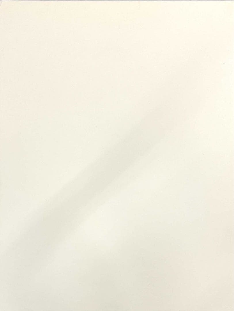 辰野登恵子《Feb-2-99》1999年 シルクシート直筆サイン•エディション