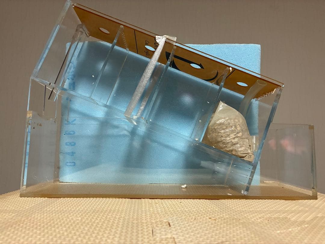 2個セット⭐︎新品完品⭐︎ベタマンション　アクリル水槽