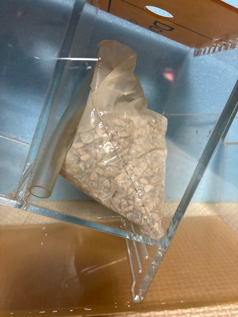 2個セット⭐︎新品完品⭐︎ベタマンション　アクリル水槽