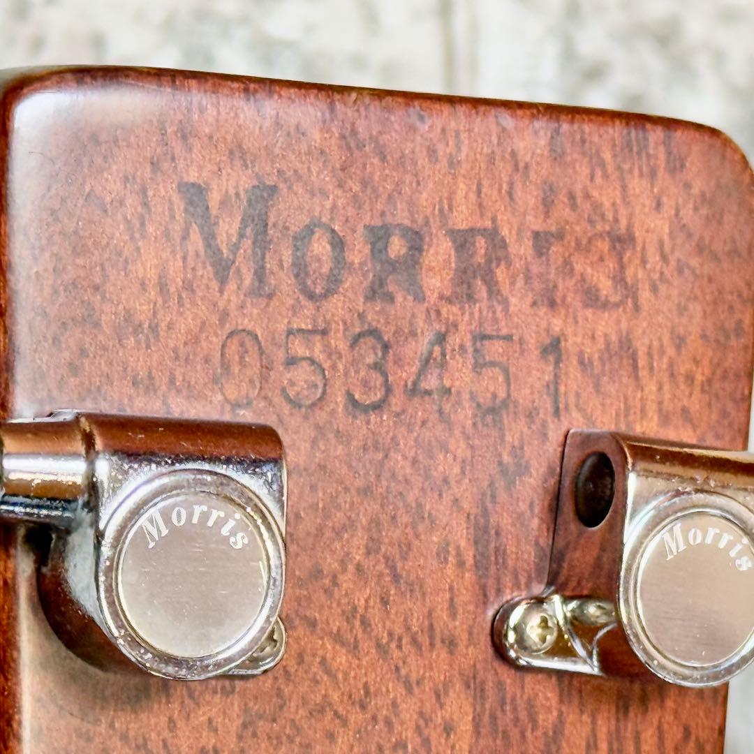 TF Morris「LF-500」ツリー・オブ・ライフインレイ