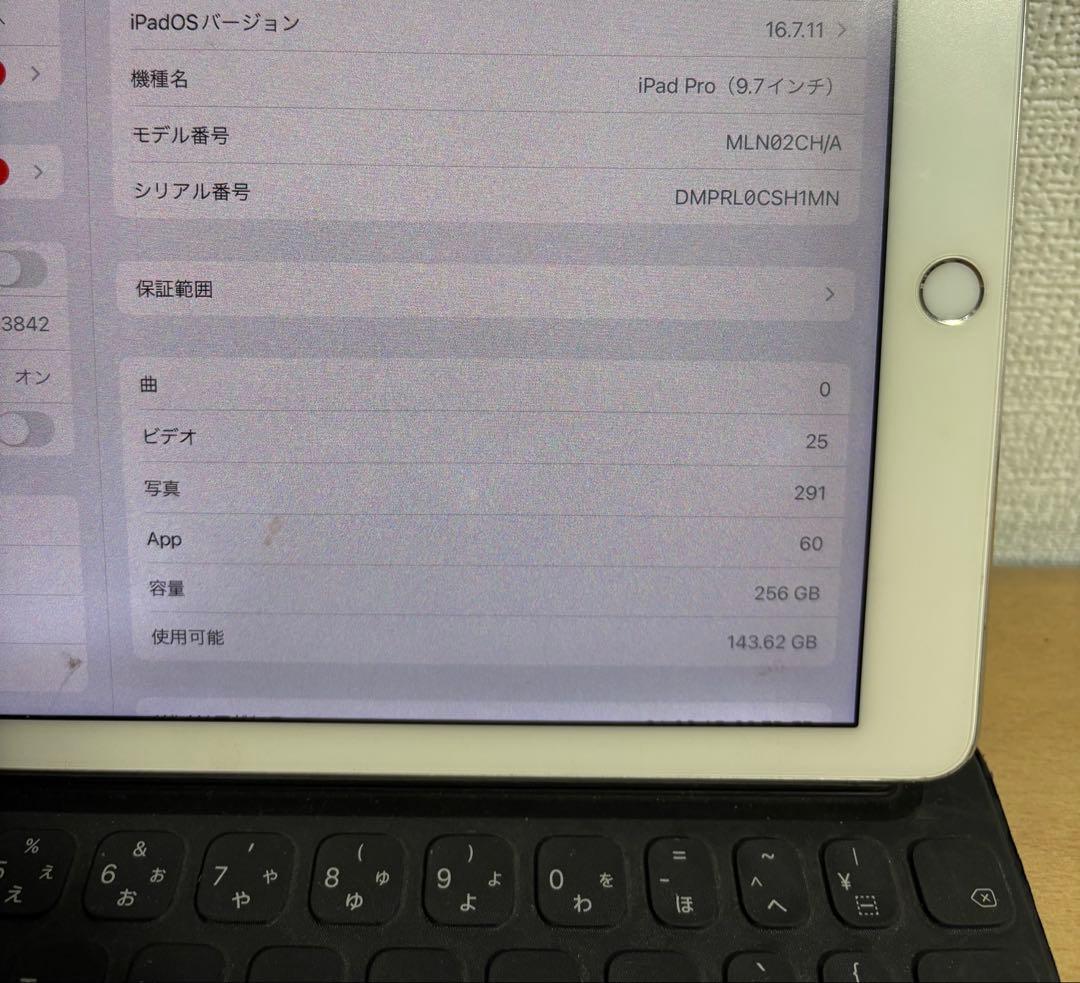 Apple iPad Pro 9.7インチ 256GB + Apple Pen