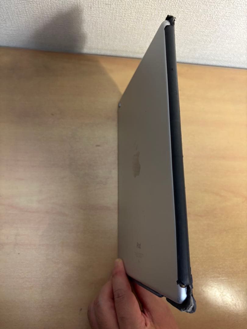 Apple iPad Pro 9.7インチ 256GB + Apple Pen