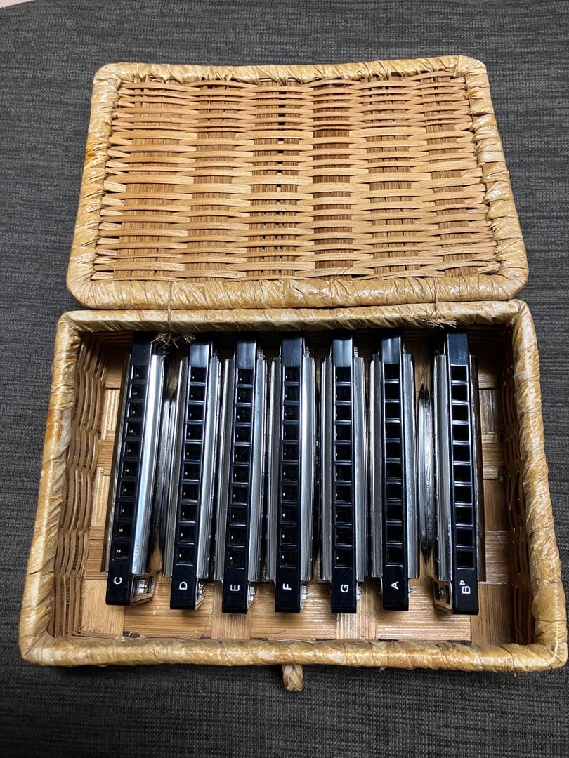 MAJOR BOY 10ホールハーモニカ セット