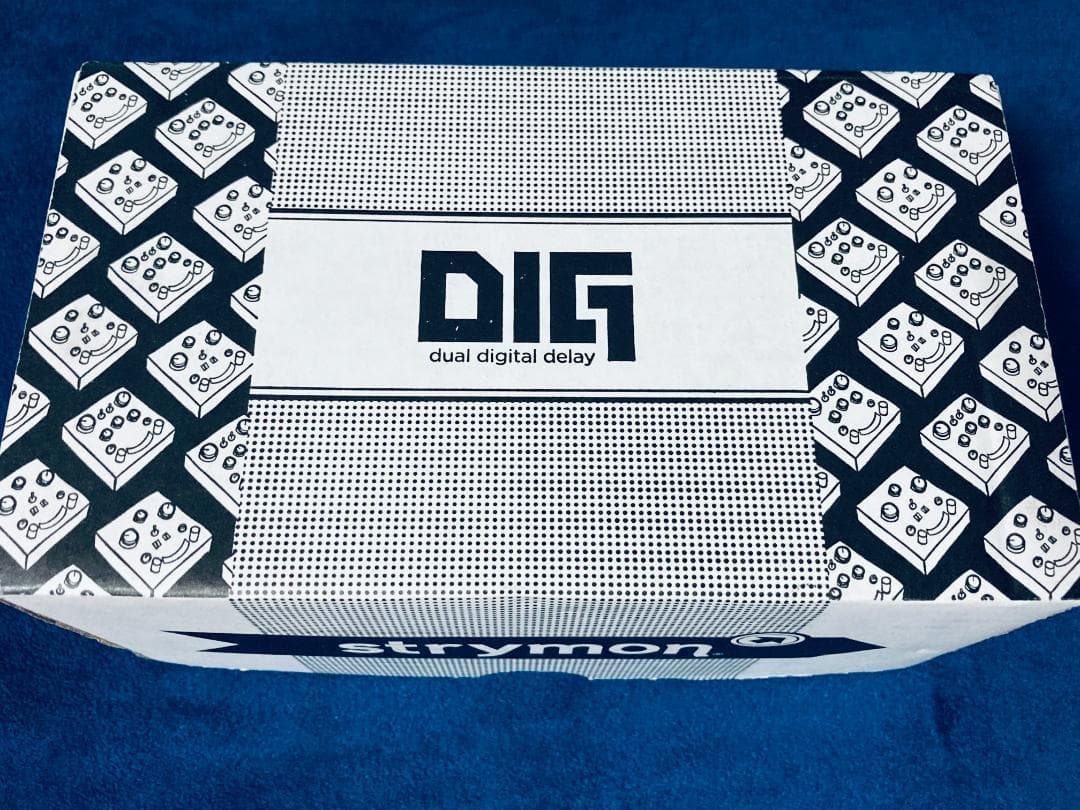 ギター Strymon DIG Midnight with Mini switch