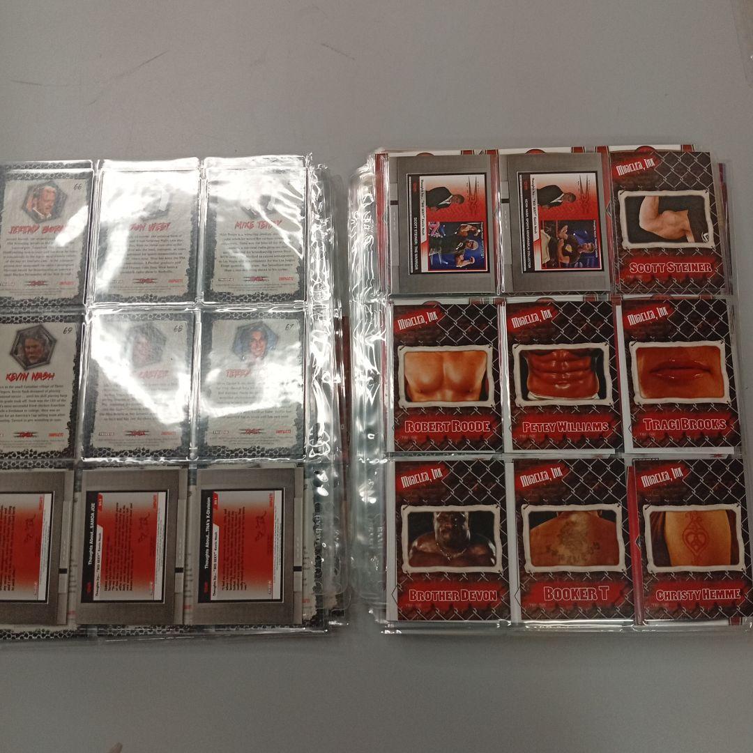 TNAトレーディングカードセット約300枚！