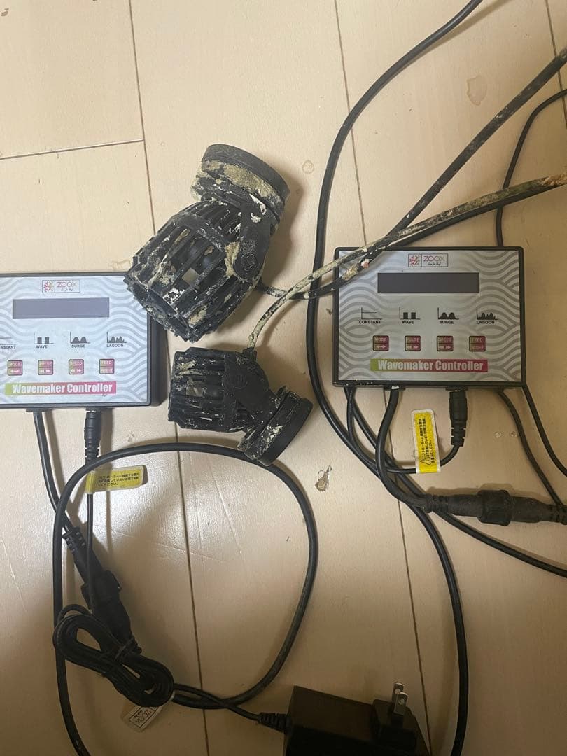 オルカ オーバーフロー水槽 900 サンゴ 海水