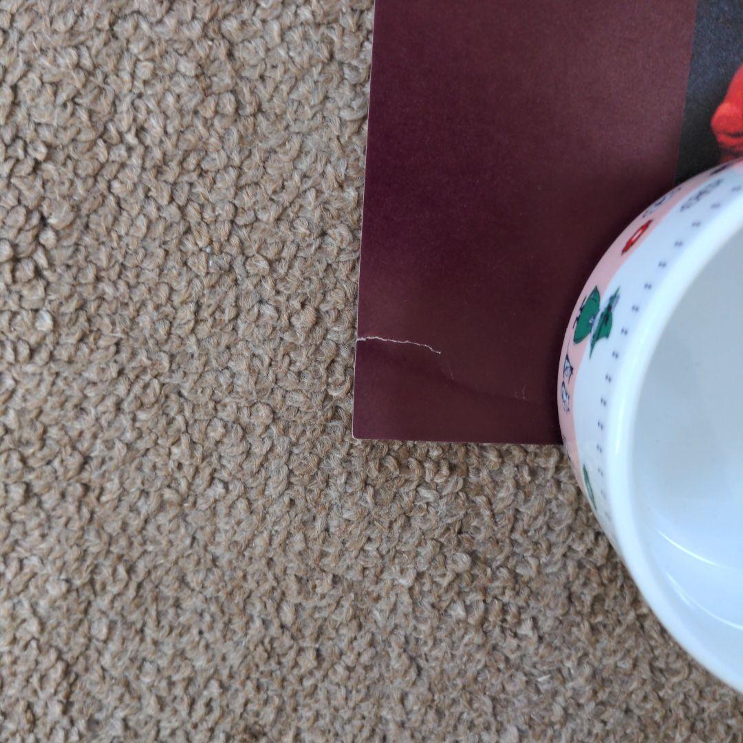 ⬛レア⚫THE BLUE HEARTS ブルーハーツ1991カレンダー　ポスター