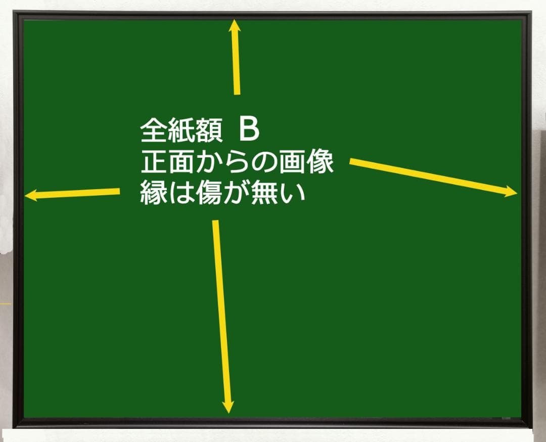 最高峰フォトフレーム　２枚組　全紙　美品　ワイドマット　A1000　A3000