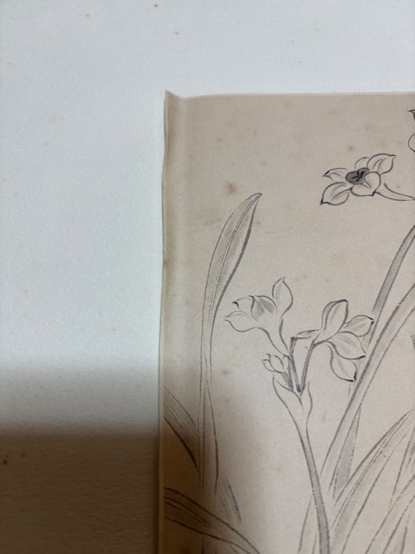 惲　壽平　水仙図（原寸大）　水墨画　清　中国　二玄社 惲 寿平