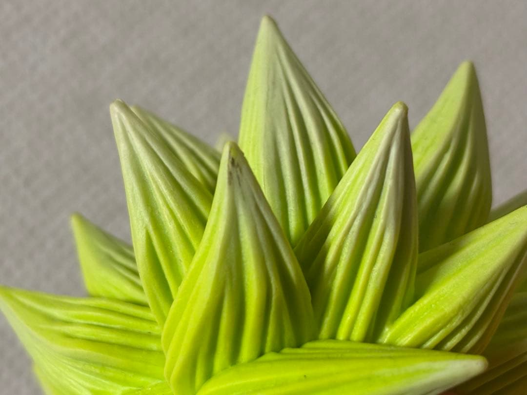 ドラゴンボール　一番くじ　ブロリー　フィギュア セット