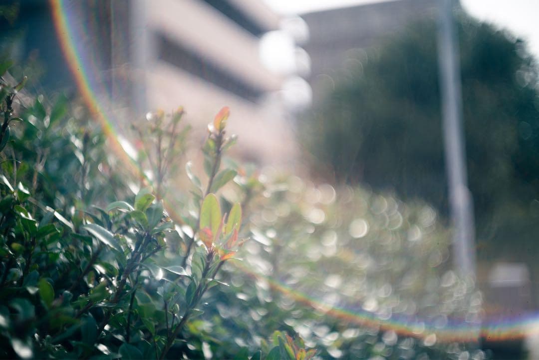 Leitz Summarit 5cm F1.5 フィルター付き（山崎光学清掃済）