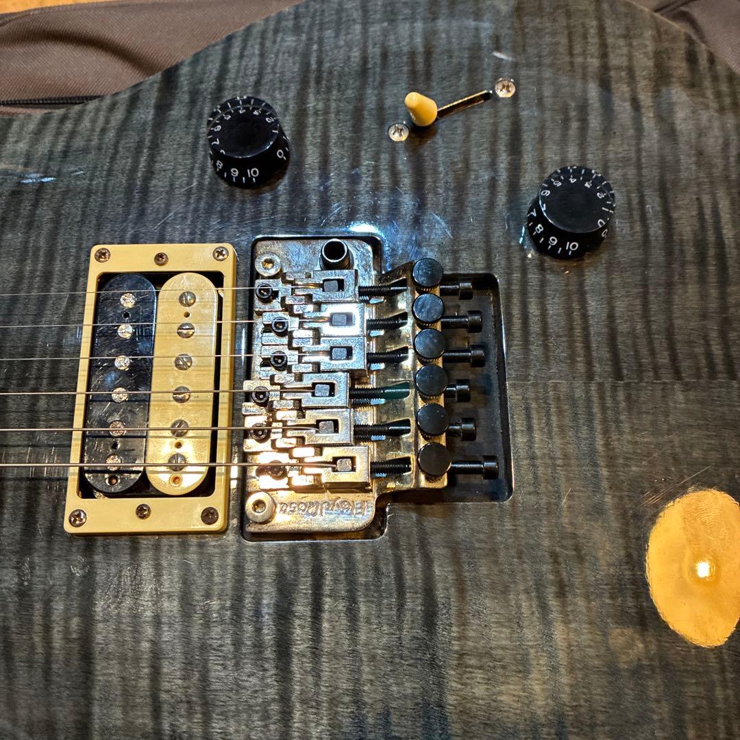 ギター Paul Reed Smith / PRS SE Custom 24 Floyd