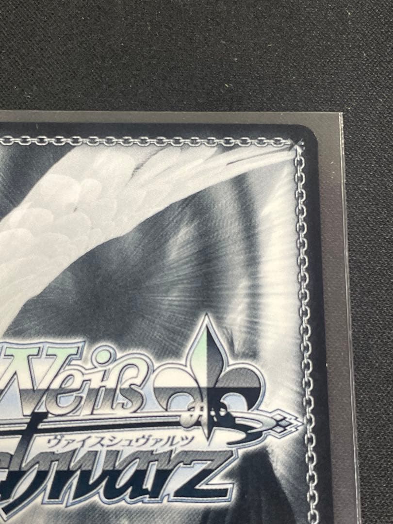 ヴァイスシュヴァルツMyGO!!!!! × Ave MujicaモーティスSSP