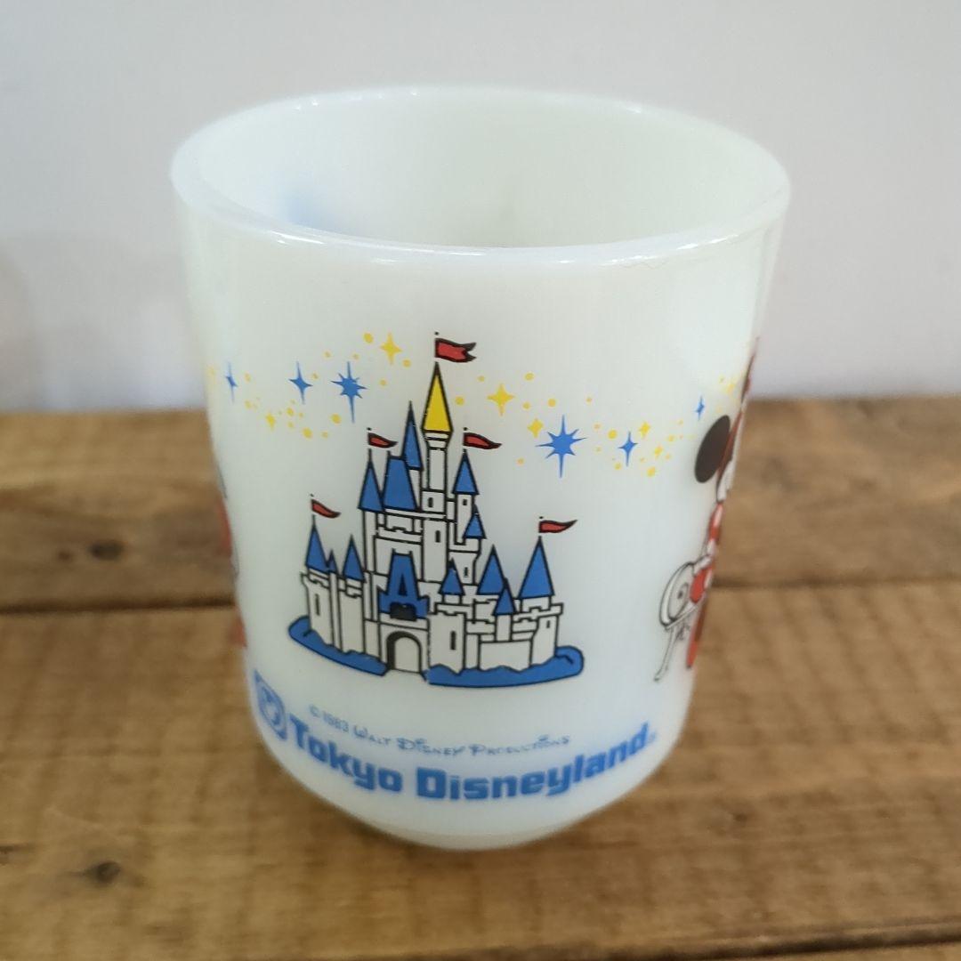 ファイヤーキング　ディズニー　ペア