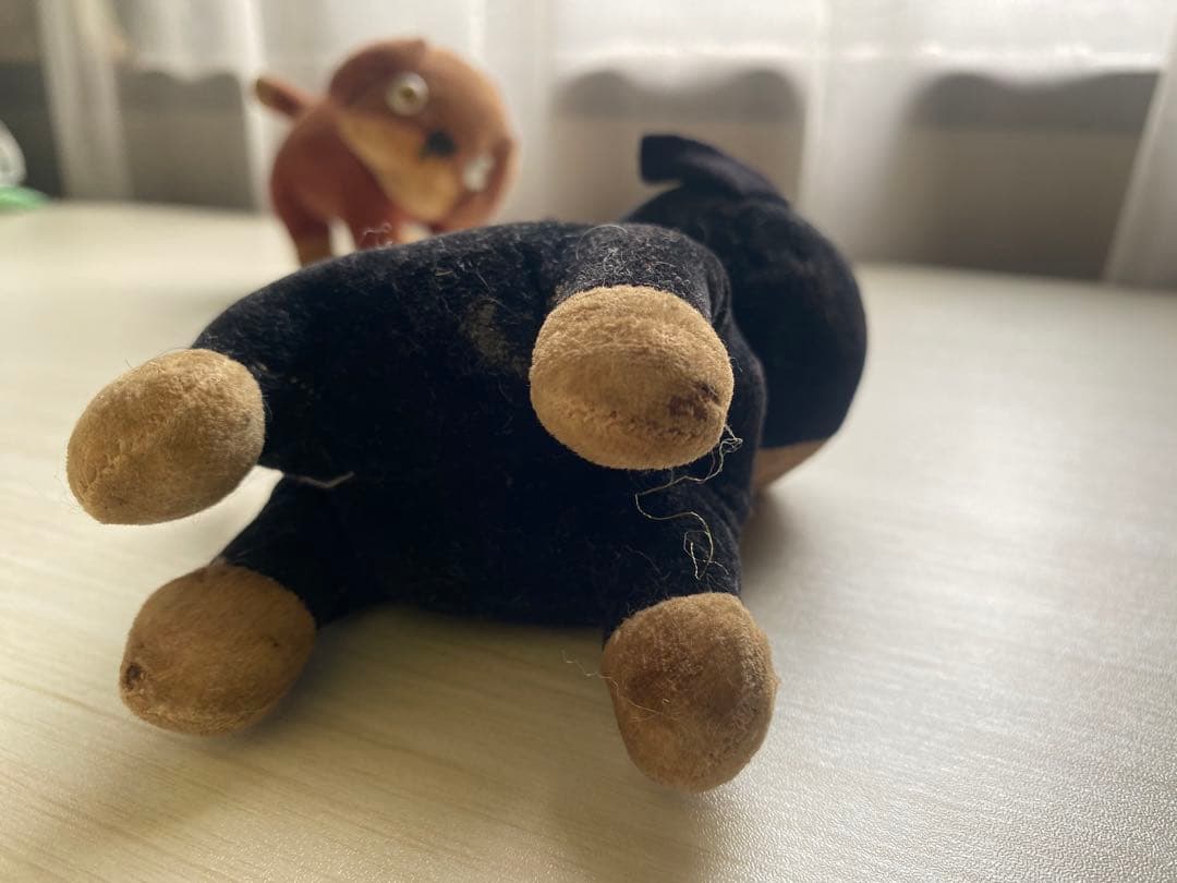 ファーネル　ブリンキー