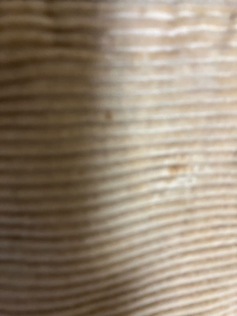 希少 80s 90s OLD STUSSY JACKET