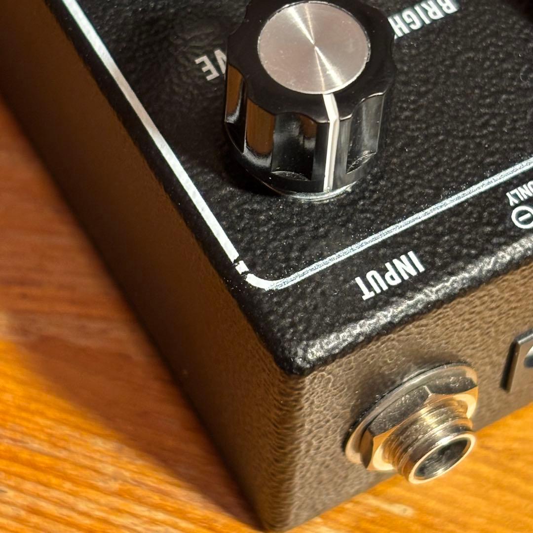 ギター Electronic Audio Experiments The Bard