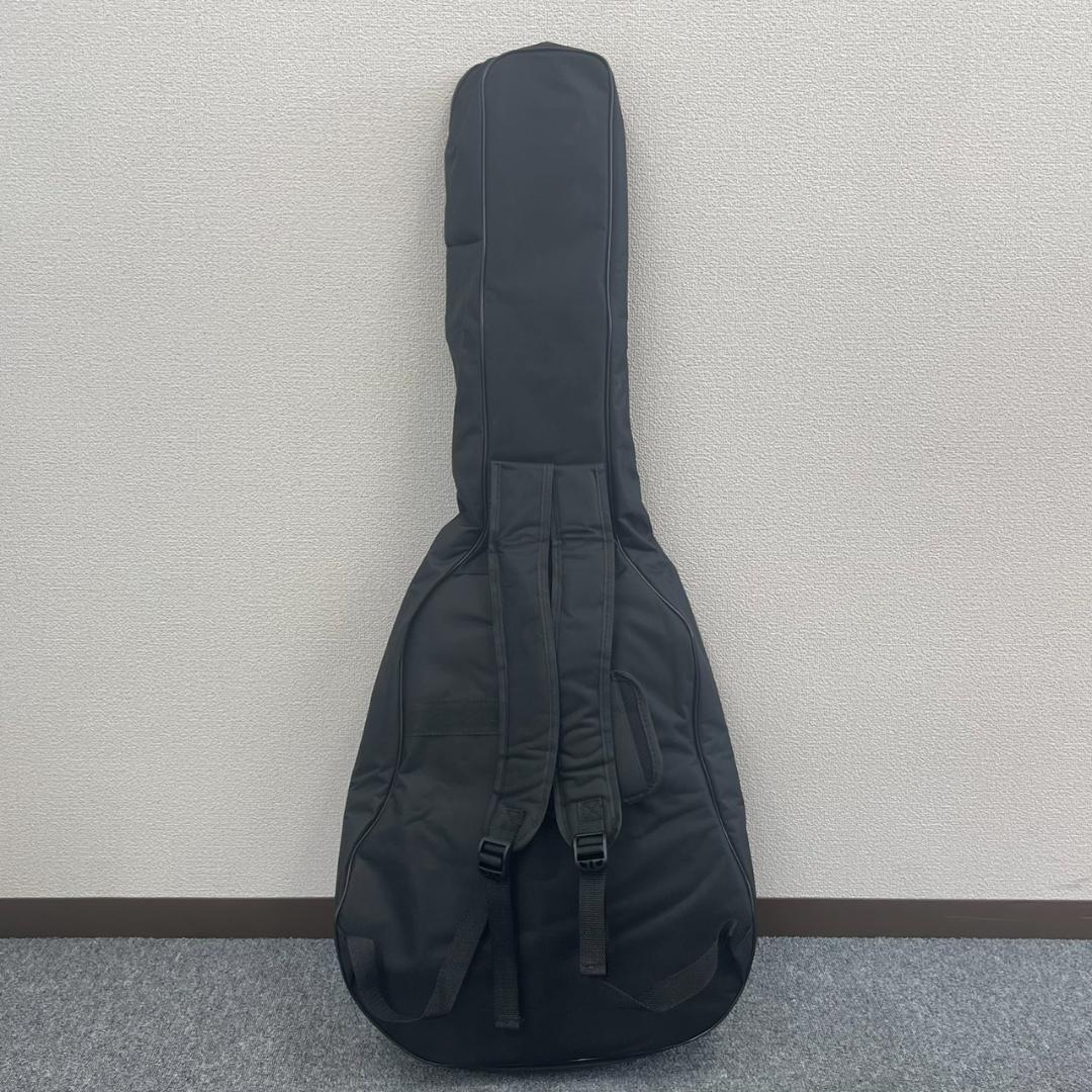 【セミアコ】IRIN アイリーン ホロウFホール22フレット トレモロアーム機能