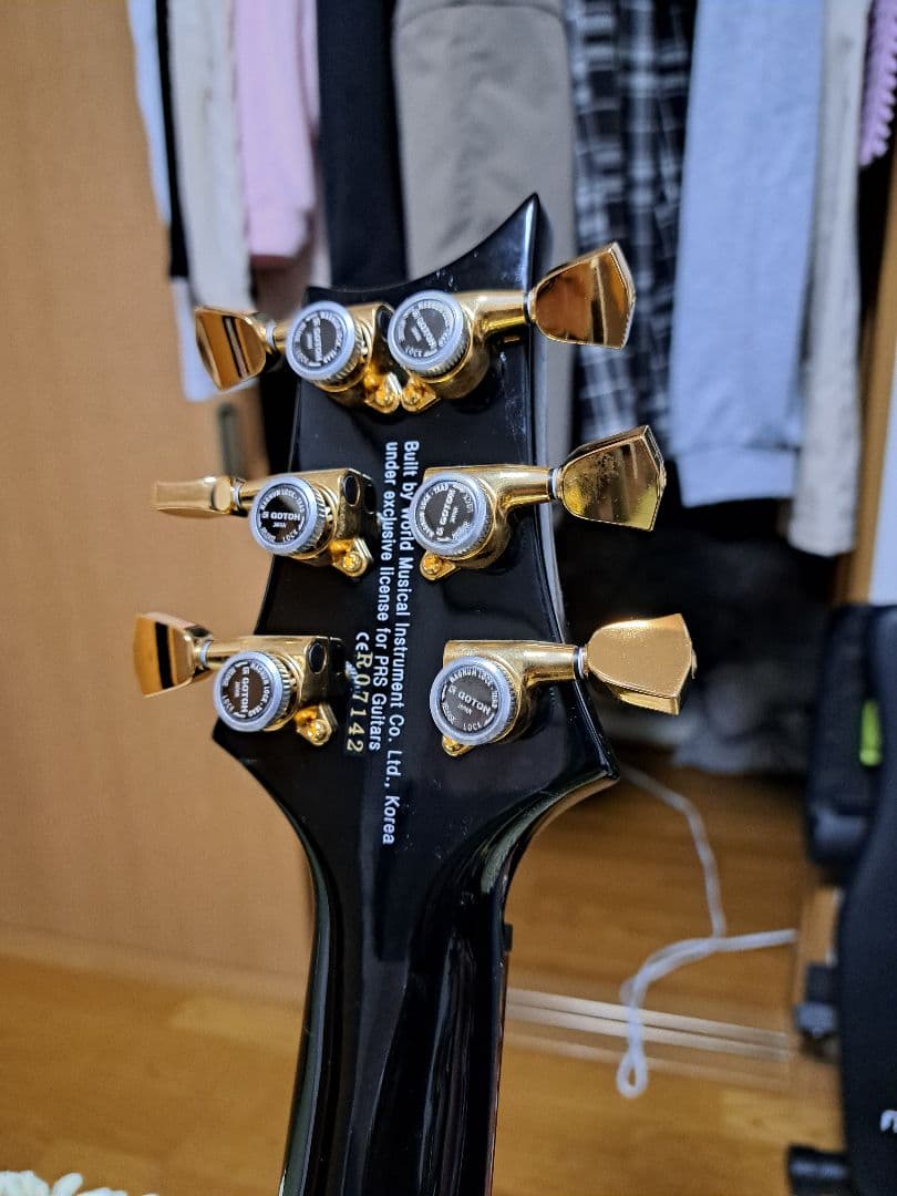 ギター PRS SE custom 24 Modify vegatrem