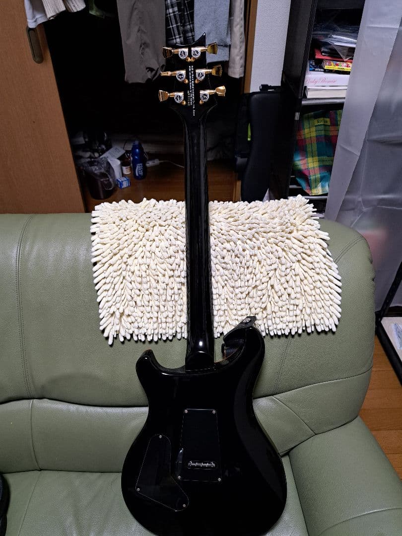 ギター PRS SE custom 24 Modify vegatrem