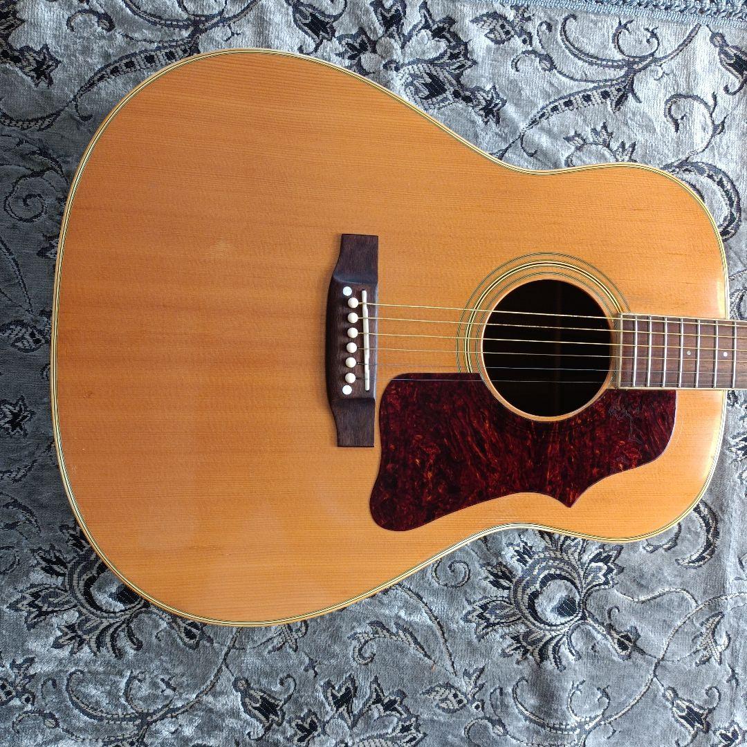 J-50モデル ラウンドショルダー Pearl パールTF-145 ヴィンテージ