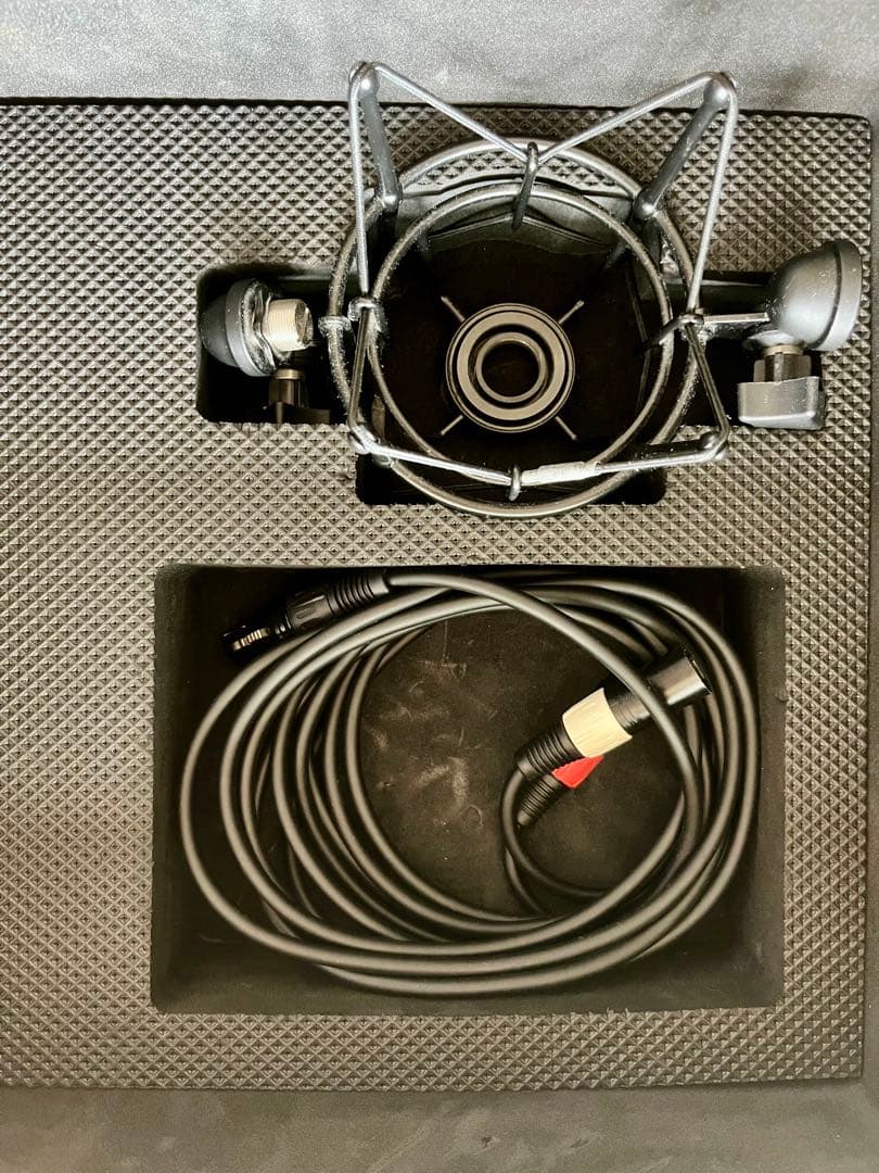 ANTELOPE AUDIO ( アンテロープオーディオ ) Edge Duo