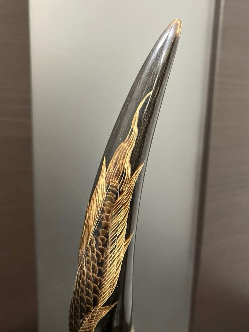 【水牛の角】《専用台付き》