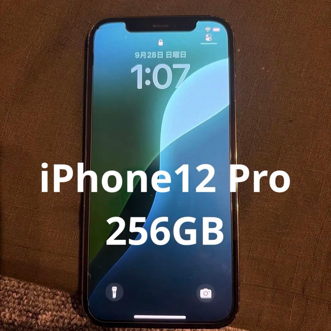Apple iPhone 12 Pro グラファイト 本体　256GB