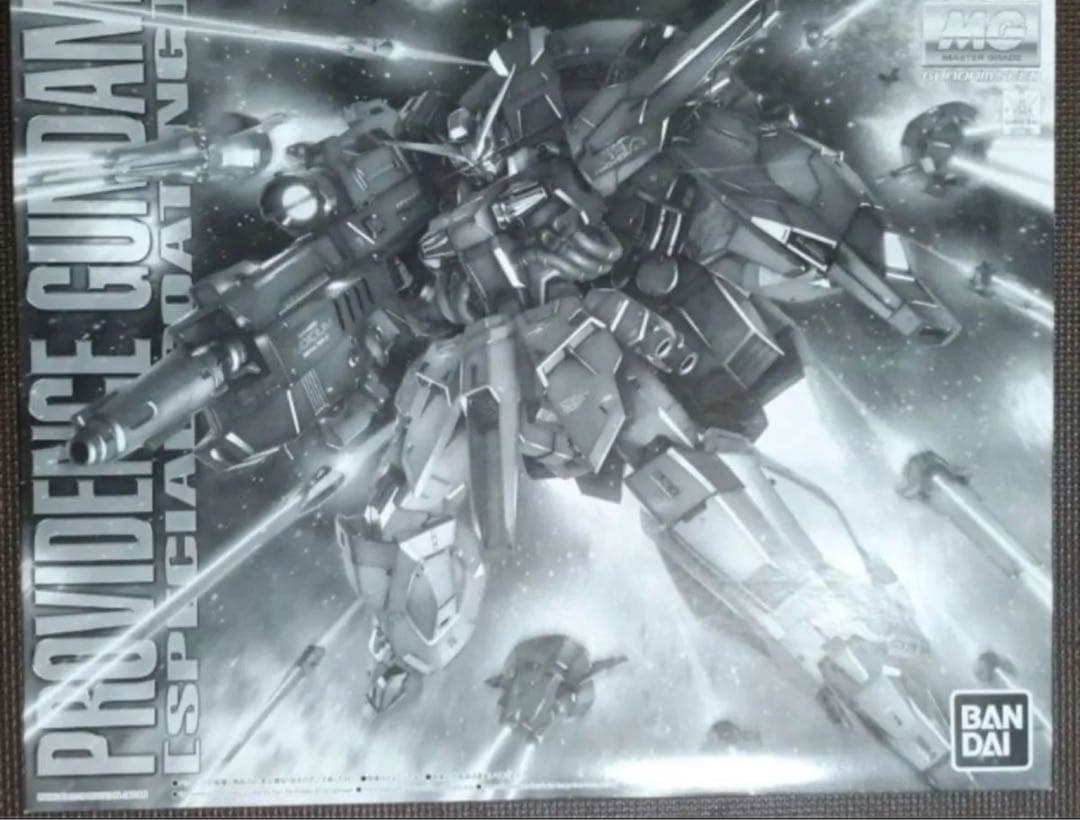 MG プロヴィデンスガンダム　スペシャルコーティング　段ボール発送