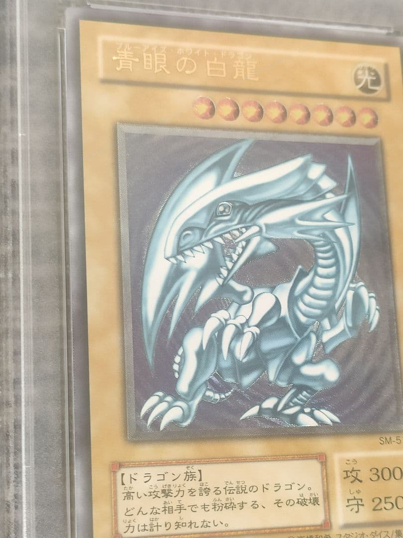 遊戯王　青眼の白龍　PSA8 遊戯王　融合　PSA10 セット