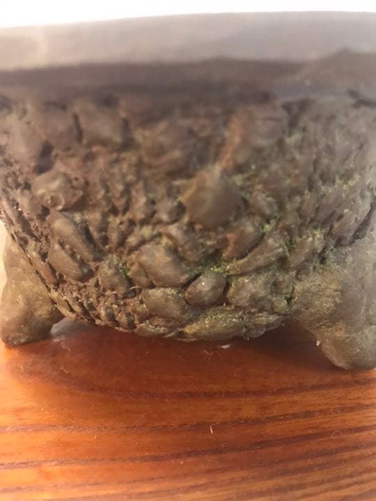 盆栽鉢　時代古盆栽鉢苔むし杉浦手捻り手作り鉢1点もの松皮小品丸鉢
