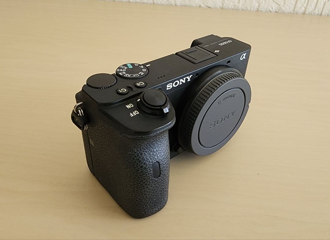 SONY α6600 ミラーレス一眼カメラ 本体 ／付属品付き