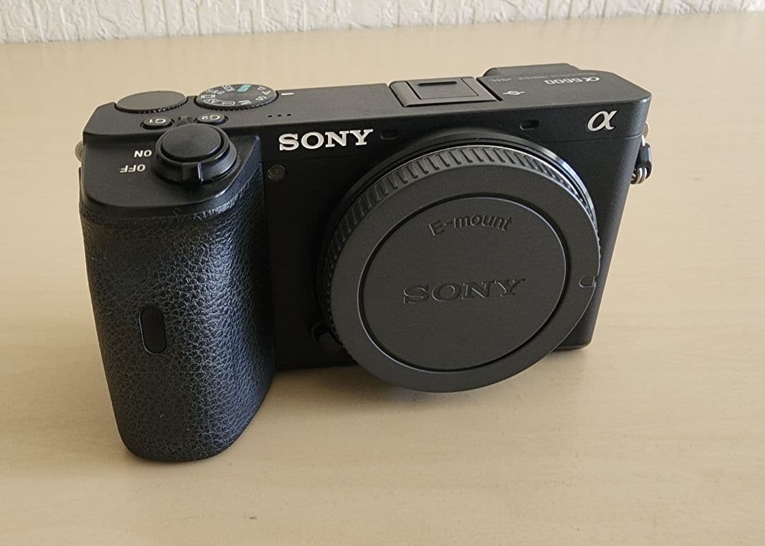 SONY α6600 ミラーレス一眼カメラ 本体 ／付属品付き