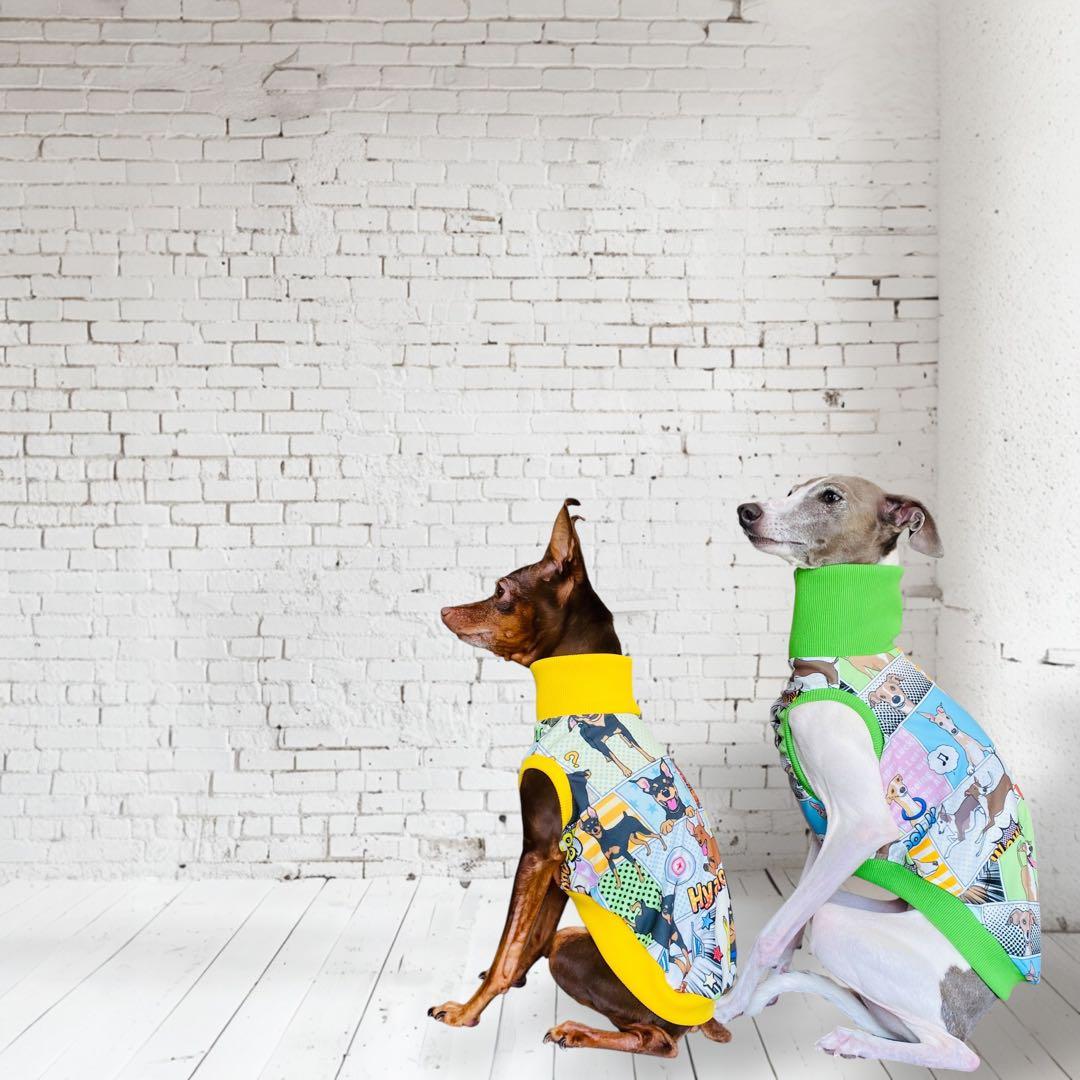 ⑮ミニピン、ミニピンを纏う　　　　　　　 　イタグレ、イタグレを纏う