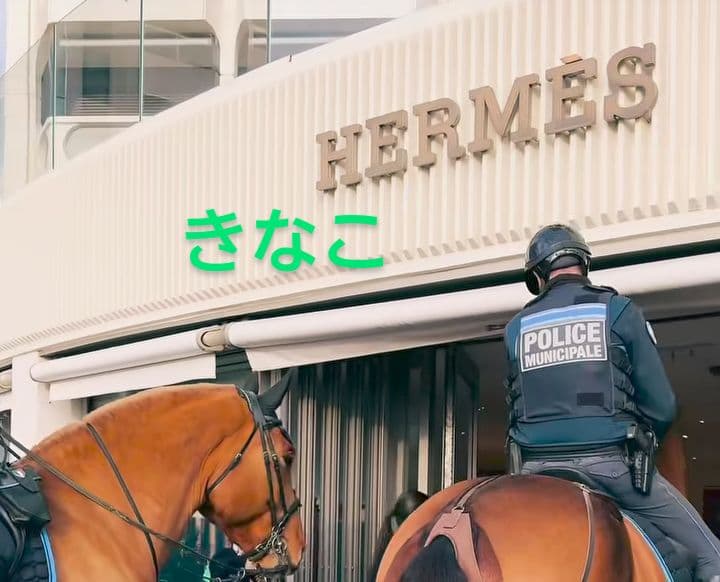 エルメス　カレタオル【新品未使用】　タグ付き　値下げ不可