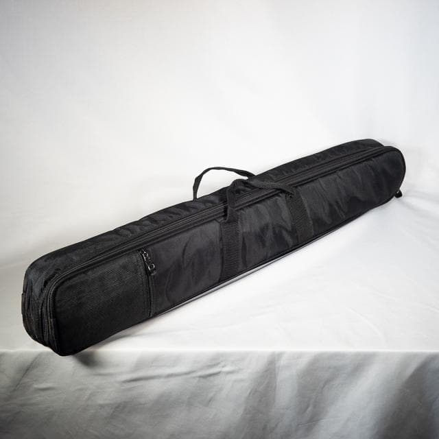 anygig エニーギグ エレキギター ミニギター トラベルギター