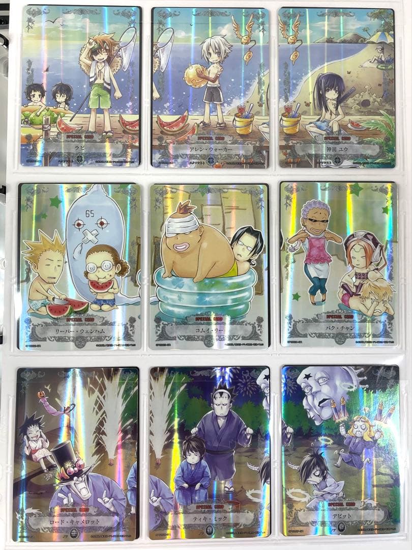 D.Gray-man ディーグレイマン TCG セミコンプリート ファイリング済