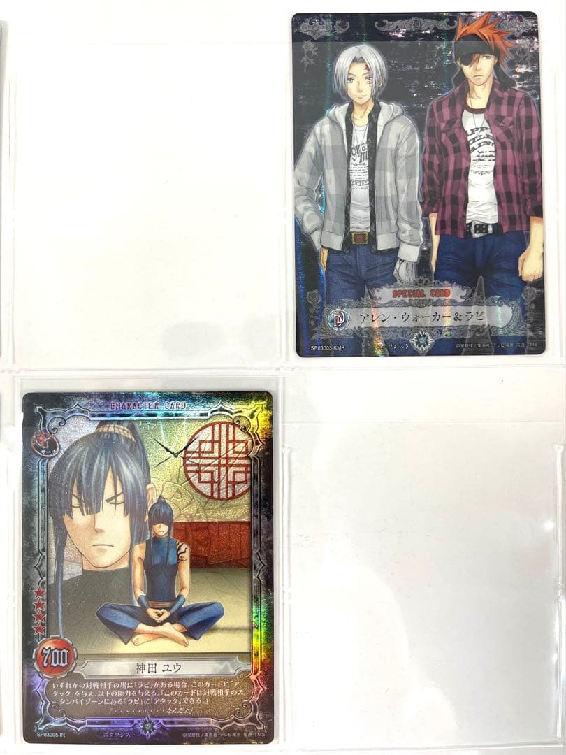 D.Gray-man ディーグレイマン TCG セミコンプリート ファイリング済