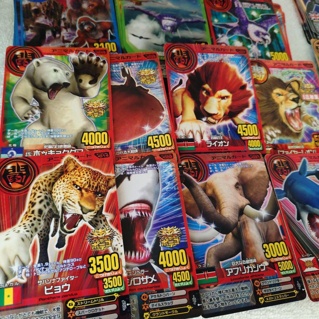 百獣対戦アニマルカイザー150枚以上ファイルごとまとめ売(ジーク/ゴルザード他)