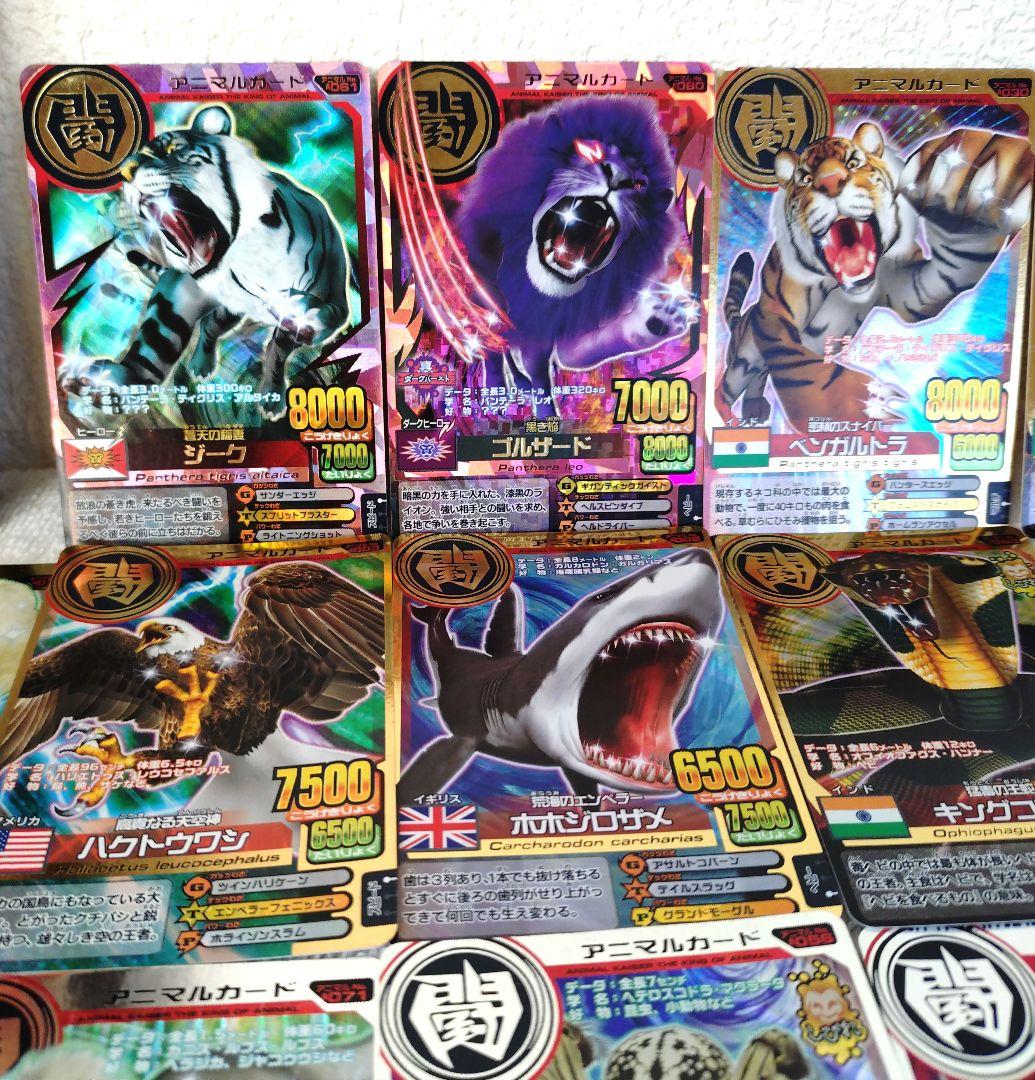 百獣対戦アニマルカイザー150枚以上ファイルごとまとめ売(ジーク/ゴルザード他)