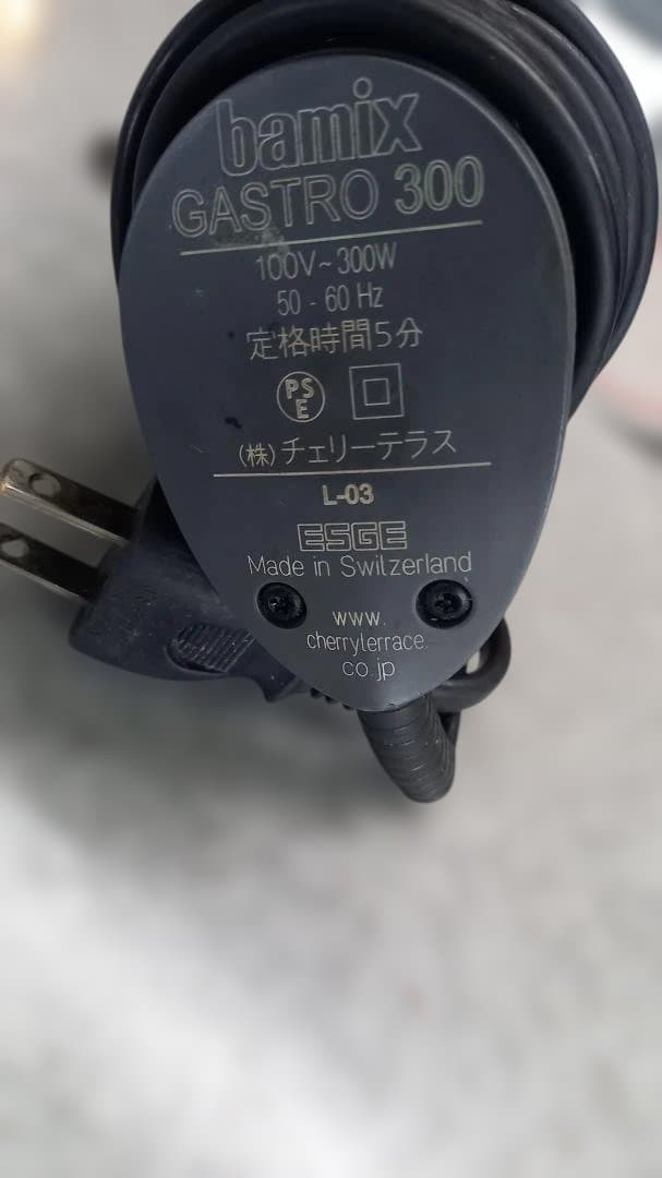 バーミックス　ガストロ300