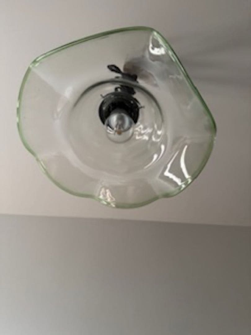 *️⃣プロフ必読！アンティーク 花リム ペンダントライト 透明・緑の縁 ガラス②