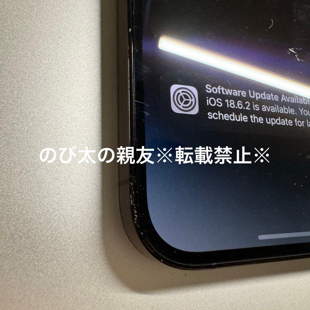 iPhone14 Pro max 1TB A2896 デュアルSIM 箱付