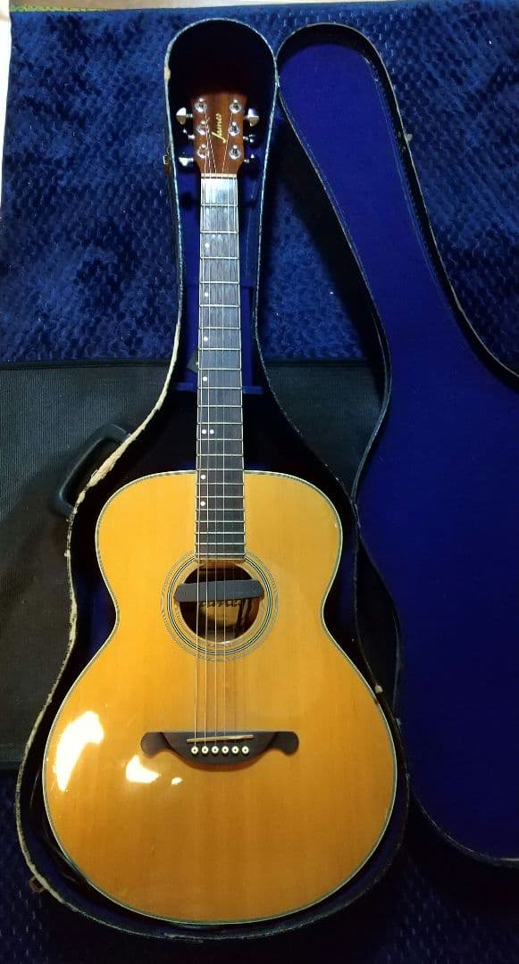 アコースティックギター James JF350 ハードケース、ピックアップ付
