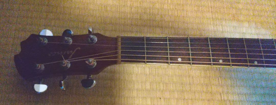 アコースティックギター James JF350 ハードケース、ピックアップ付