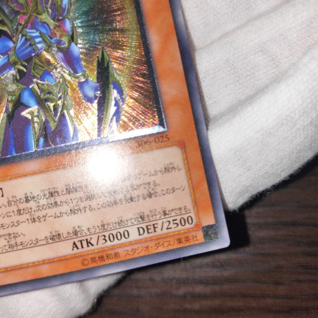 遊戯王 カオス・ソルジャー 開闢の使者 レリーフ